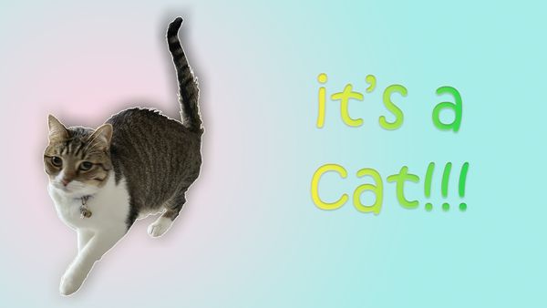  No provided alternate text for this image yet. 